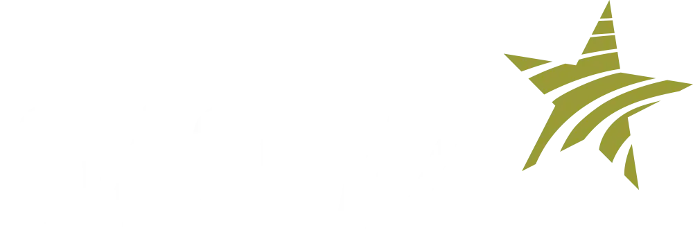 Stagebizz logo